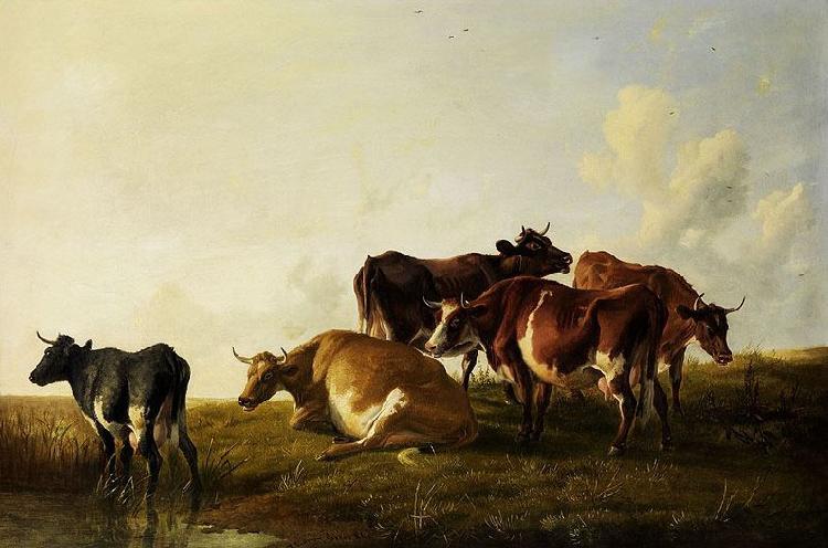  Cattle in the pasture.